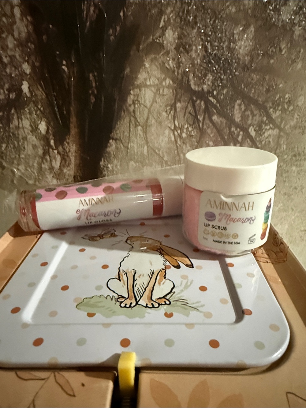 AMINNAH macaron lip scrub and lip gloss